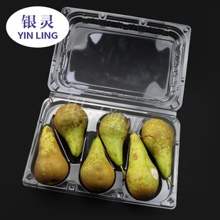 ����Ʒ���С�ơ���6���bһ�����̳�PETˮ�����y�`�ܘI�S�ҬF؛