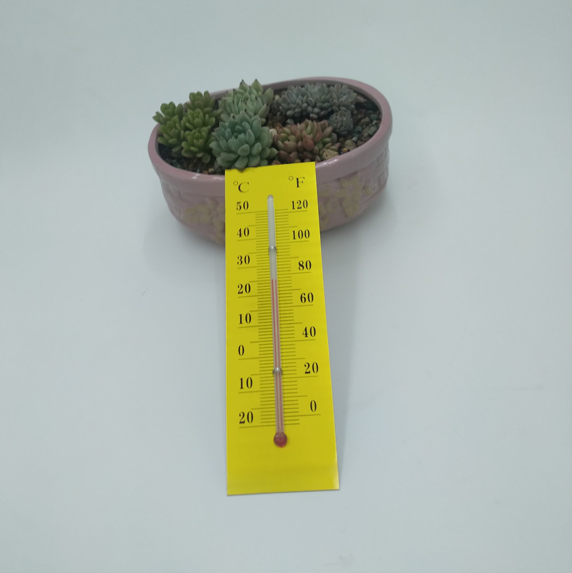 本公司专业制造铝片温度计大棚半成品工艺品配件专用玻璃室内