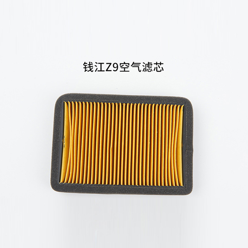 for Scooter Engine – Xiao Gui Auto Parts and Accessories - qianjiang-z9