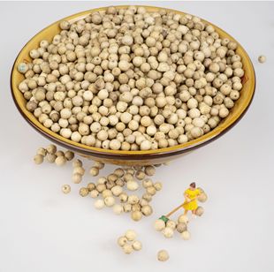 �׺���500g��Ϻ����R��ˮϴ������șˮ͑Ƥ�����{ζ���{ζƷ���l