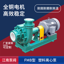 ���� ���ϳ�Һ�� ����������FMB50-32-125��ĥ�C������ɰ�{��