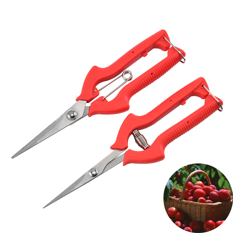 批发修枝剪刀园林摘果剪葡萄剪园林果树花艺剪盆景剪园林工具