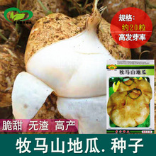 ���Rɽ�عϷN�����l �r��ˈ@����ˮ���ع�ɳ��������ϛ����N��