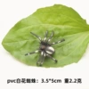 White pattern spider