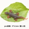 Large gecko