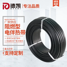 电热带