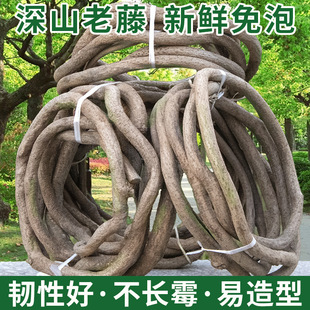 ���ٿ�����Ȼ�٘�֦ �Gֲ�ٻ�����ֲ���쾰���� ��Y�ܵ��b��ٗl
