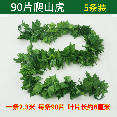 암호화 된 고구마 잎 90 개 (5 팩)