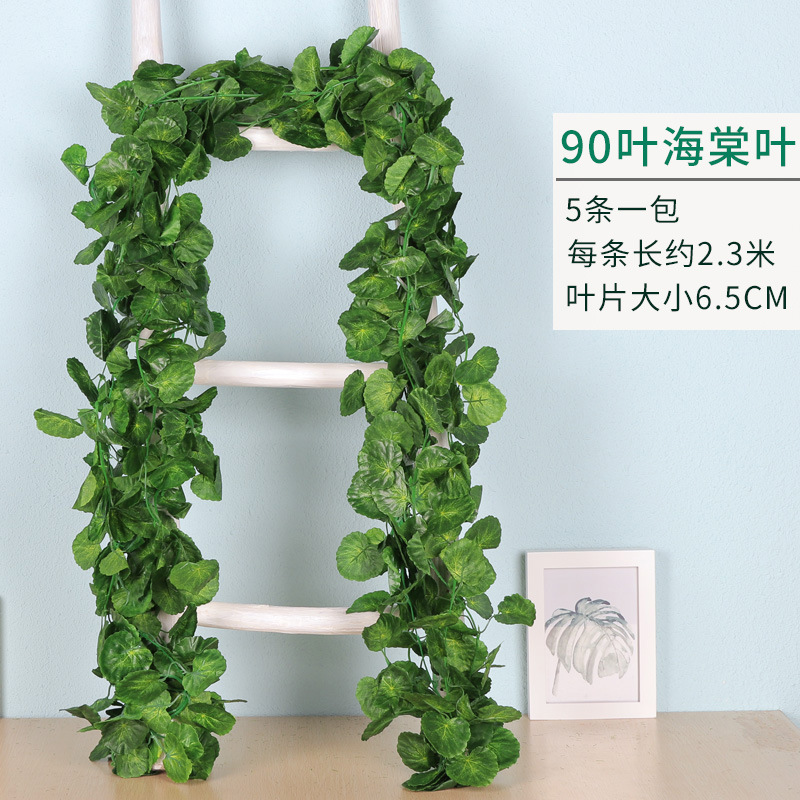암호화 된 베고니아 잎 90 개 (5 팩)