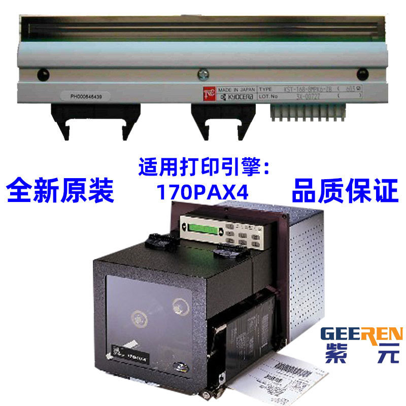 ������Zebra����170PAX4 203dpi��ӡͷG38000M�Զ��������ӡˢͷ