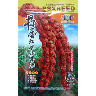 С�׹��Ӽt���ӷN�����׺����ȷN�ӎ����r���ԷN�Bʳ�Z�͸߮a���S