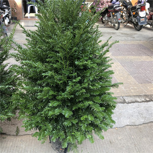 �������� �������� �Ϸ����� �t��ɼ���Ի������l