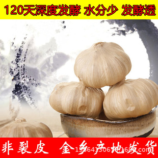 �������l �S�Үa�ذl؛ �꿵�������� 12�^�бP�b500��