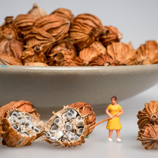 ��ɰ��500g�F��ɰ��șʳ�����Gɽ���r�aƷ�����{���u���{ζƷ��ȫ