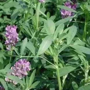 500g��ޣ�~�����ޣ�~�ϻ���ޣ�~���üZ��������؈�a�I�B�~