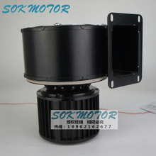 130FLJ2NYD4-3T04F lxLC SOK MOTOR