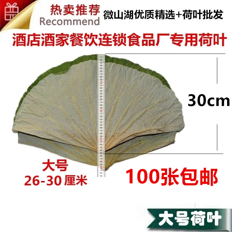 大号荷叶整张干荷叶厂家定制加工做荷叶饭包叫花鸡糯米鸡批发包邮