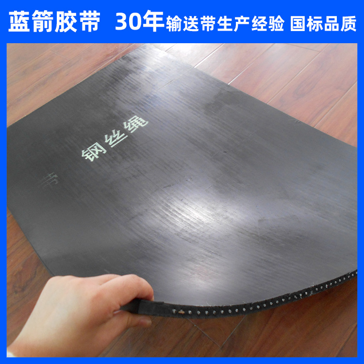 河北蓝箭厂家供应ST1250钢丝绳提升带斗提机皮带输送带