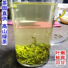 新茶雨前春茶云雾茶绿茶湖北高山炒青茶叶浓香耐泡中低档散装批发