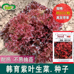 ���~�������߲˷N�����~���˷N�����l �_ɯ�tɺ�� ������ɳ����