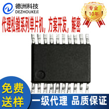 SN8F5702TG贴片TSSOP20松翰单片机代理小家电专用芯片可提供烧录