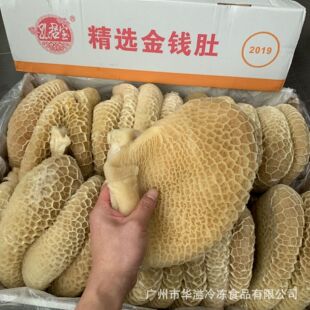 ������X�� ��Cţ�� 40��/�� ���a���X�� ţ�� ţ�sţ��