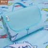 Dinosaur, oxford cloth