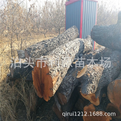 泊头市利源苗木场常年现货供应直径25-50公分长度80-200公分枣木|ru