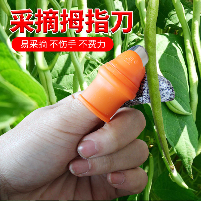 摘花椒手套神器葡萄掐尖专用铁指甲农用采摘豆角剪辣椒摘菜拇指刀
