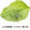 Long feet thin spider