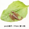 Small scorpion