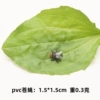 Fly