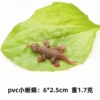 Little Gecko