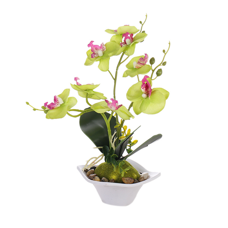 Nueva Phalaenopsis Bonsai de tres horquillas flor artificial decoración creativa Planta artificial suministro directo de fábrica de una sola pieza entrega image 7