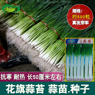 ��������N�����l �r��ˈ@������[�������������߲���