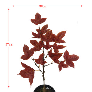 ����ٗ��~�����Ǘ�����ɫ���~��ľ������˼�~���ʘ乤���b����l