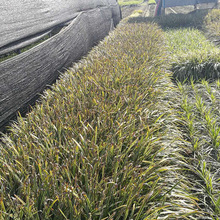 ��ľ ���̾G�� �@�� ������߅��~������ ��߅��~���� �ļ�����