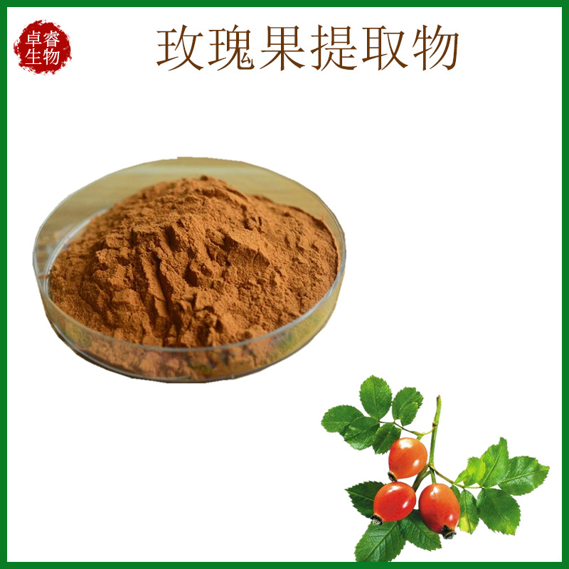 玫瑰果提取物 水溶浸膏浓缩粉食品原料植物萃取水溶无沉淀