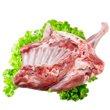 3����S���]��ɽɢ�B�������������r�����������������