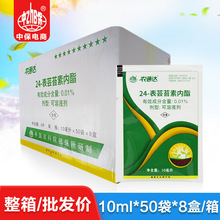 中保农药 芸苔素内酯 黄瓜小麦植物生长调节剂10ml*50袋*8盒/箱