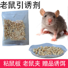 老鼠誘餌高效香味老鼠神器捕鼠夾粘鼠板老鼠誘餌食膠水引誘劑家用