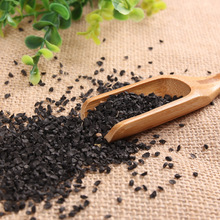 ���l�²��� �²��� ���� ����