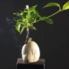 Jingjifeng Zen small flower vessel