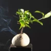Jingjingfeng Buddha small flower vessel
