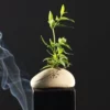 Jingjifeng small flower vessel with tea characters