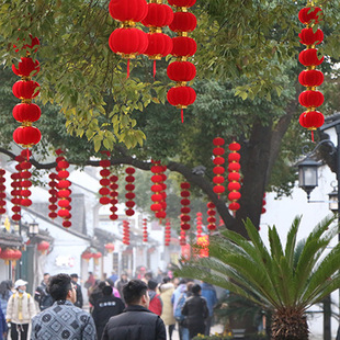 ���깝�cֲ�q���\�B�� ����С���\���� �Ї��Y�b��̈����Ւ��