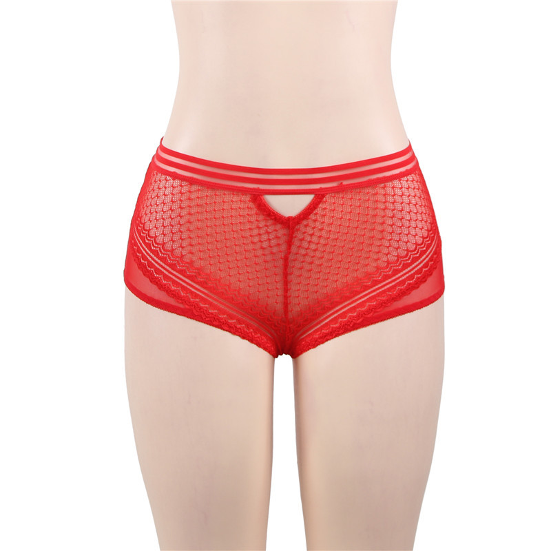 Europa y América más tamaño ropa interior sexy ropa interior encaje hueco de las mujeres perspectiva bragas Amazon al por mayor 5154