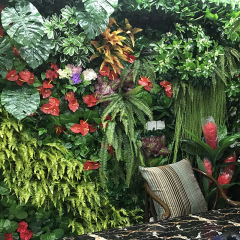 Long beard grass simulated plant wall accessories green plant wall decoration wall hanging spider orchid simulated water plants