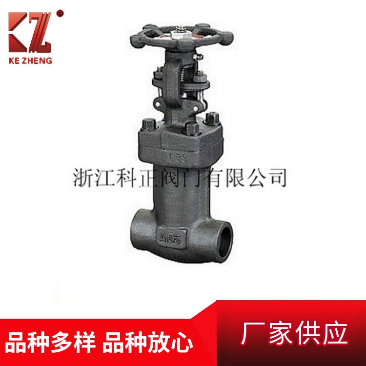 厂家供应锻钢波纹管闸门 各种材质