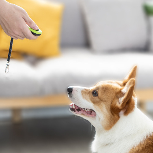 Yite Pet Supplies Dog Clicker Tick Stick Dog Flute Trainer Dog Supplies Dog Training Professional Artifact Dog Toy